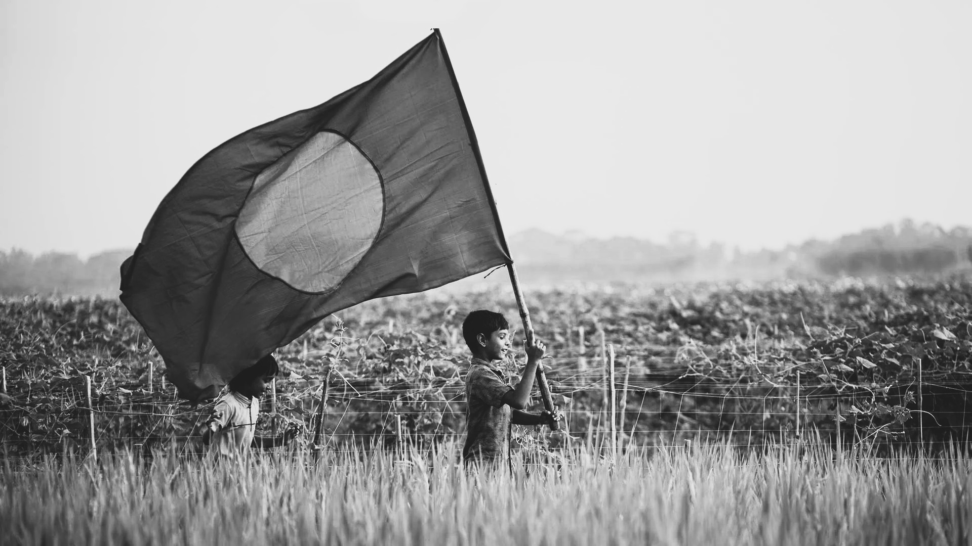 Tree Plantation Drive 2023